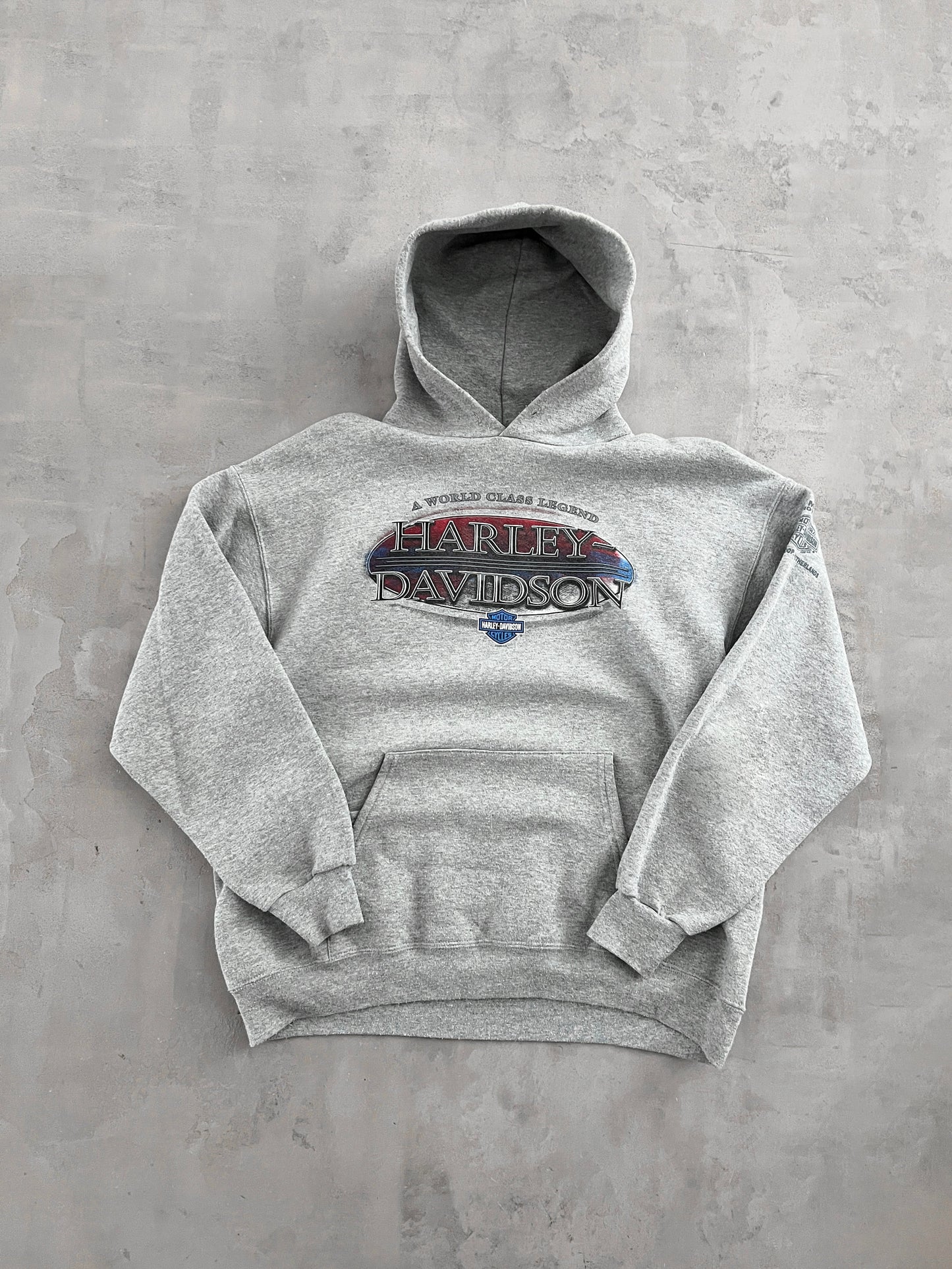 GREY HARLEY DAVIDSON HOODIE - 2000S - L