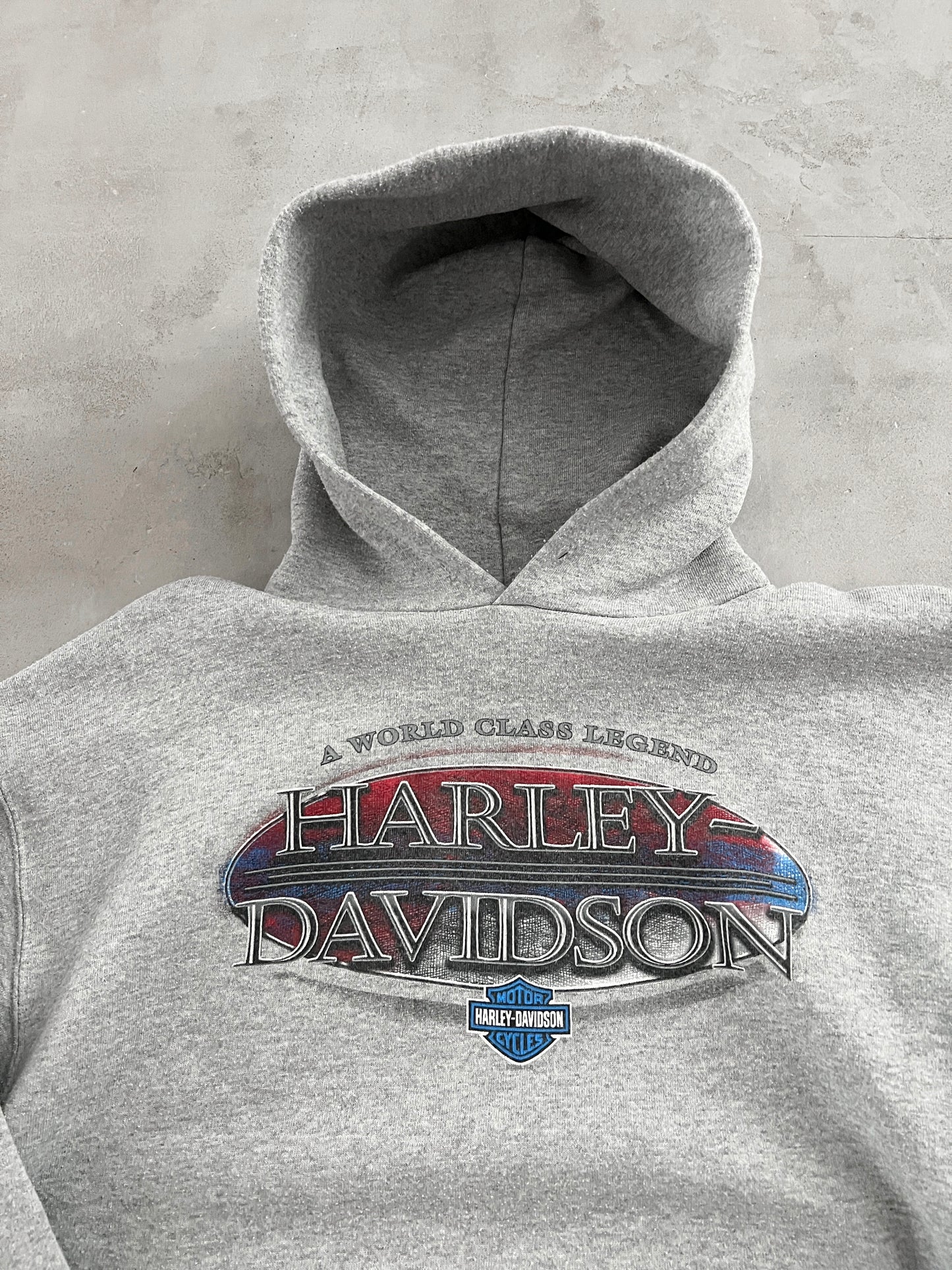 GREY HARLEY DAVIDSON HOODIE - 2000S - L