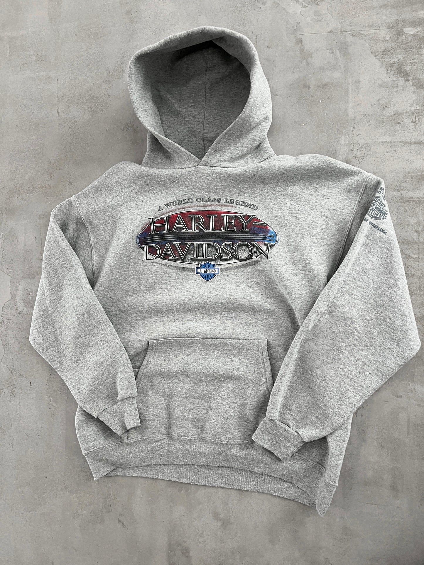 GREY HARLEY DAVIDSON HOODIE - 2000S - L